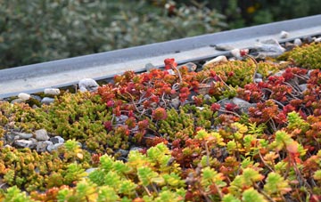 the cost of Habergham green roof installation