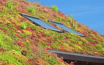 Habergham living roof systems