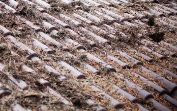 Habergham roof cleaning companies