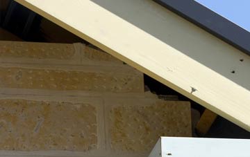 soffit repair Habergham