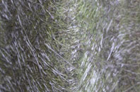 Habergham fibreglass roof work